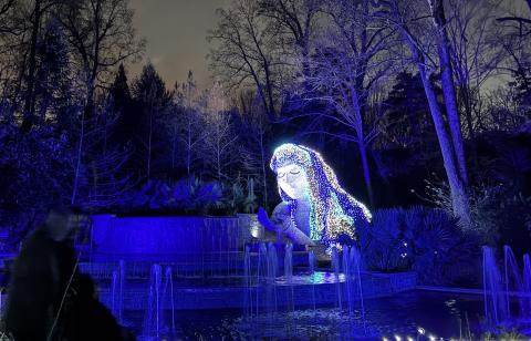 Garden Lights, Holiday Nights