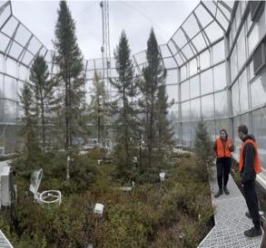 Postdoctoral Researchers Caitlin Petro and Borja Aldeguer-Riquelme inside a SPRUCE chamber in 2023.