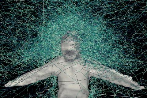 mosquito trajectory around Chris Zuo